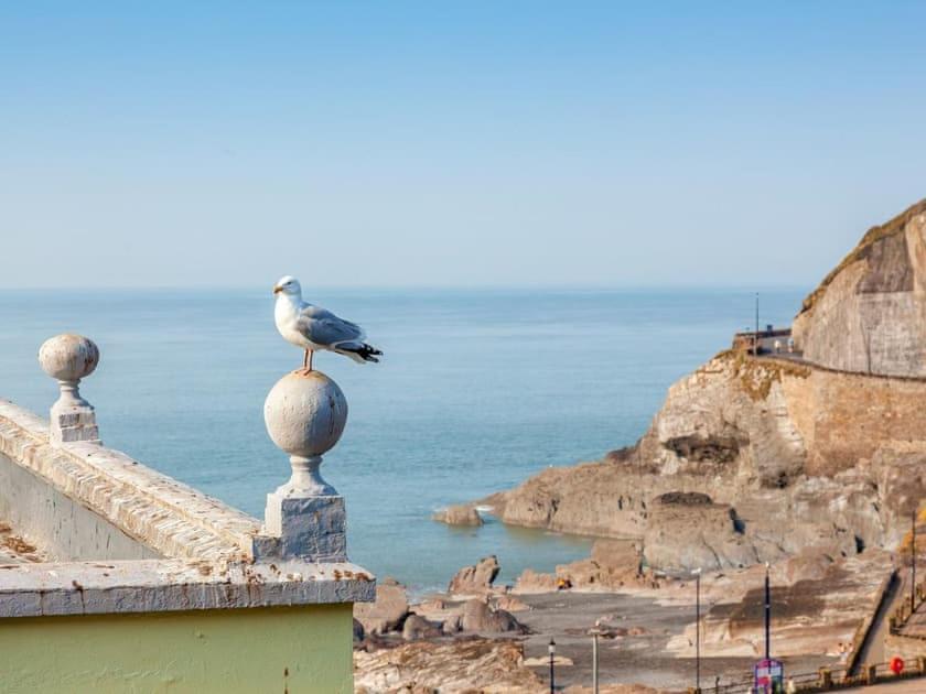 2Thevilla - Great Views, 3 Bedrooms, Parking, Central Location Ilfracombe Exterior foto